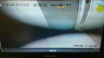 监控流出 网曝黑料,网曝黑料事件深度解析