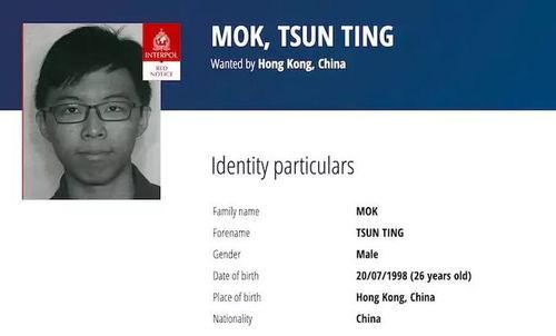 黑料网-今日黑料热门话题,今日热门话题深度解析