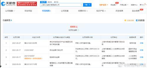 第一黑料影后txt网盘下载,TXT网盘下载背后的真相与争议