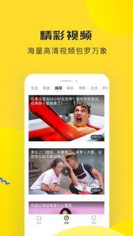 最新黑料头条新闻网,揭秘娱乐圈最新猛料，真相令人震惊！