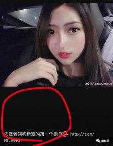 网红那些黑料是真的吗,真相与谣言的交织