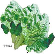 网红小莴苣叶子黑料,揭秘背后真相