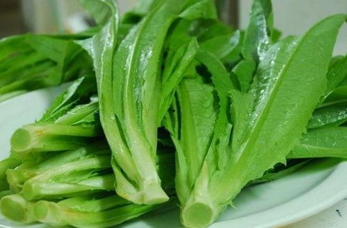 网红小莴苣叶子黑料,揭秘背后真相