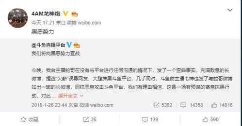 网红黑料实锤网址,实锤网址背后的真相曝光