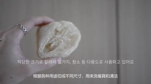 黑蜂极网红同款窝料,揭秘爆款养蜂秘籍