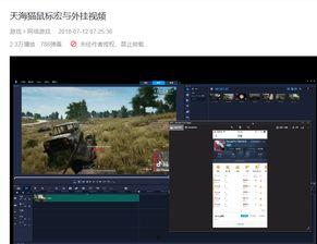 抖音爆料黑料网是真的吗,真相与谣言的交织