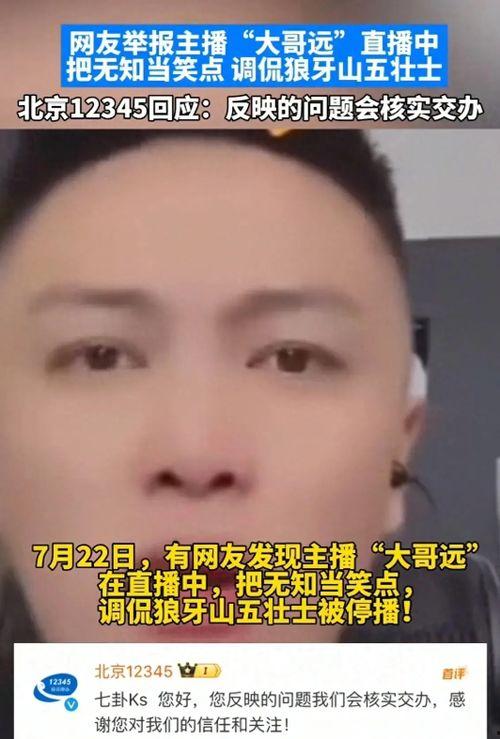 网红刘老大黑料大全,黑料大全背后的真相与争议