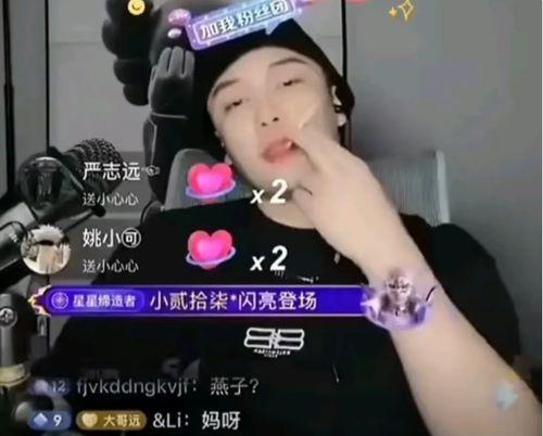 网红刘老大黑料大全,黑料大全背后的真相与争议