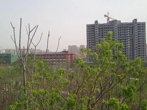 黑料网 曹县翰林,揭秘黑料网背后的神秘人物